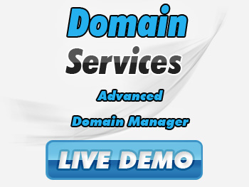 Cut-price domain name service providers